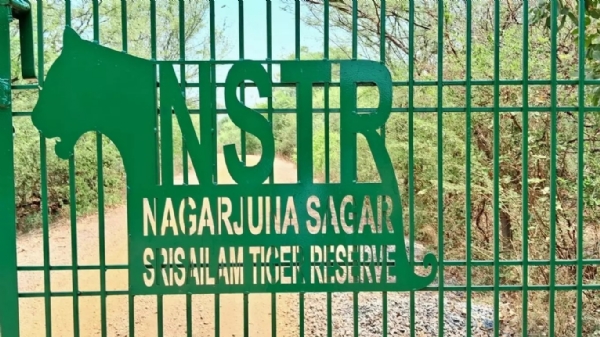 safari-closed-nstr-amrabad-tiger-reserve-human-entry-banned-fo