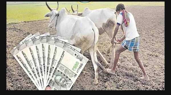 Farmers Farmers
