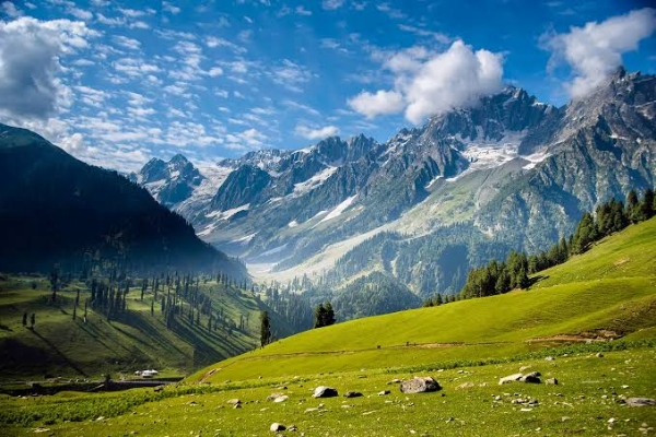 kashmir