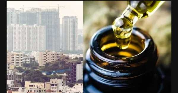 Hash oil Hash oil