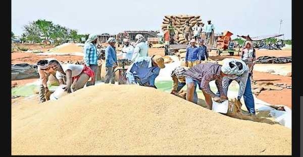 Farmers Farmers