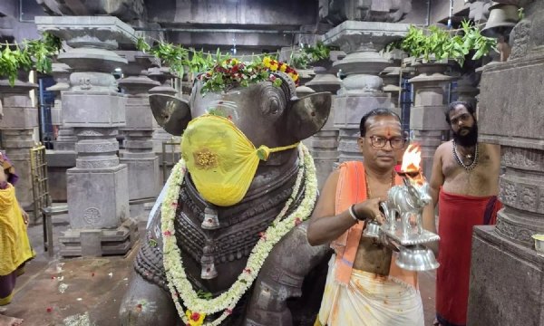 శ్రీశైల