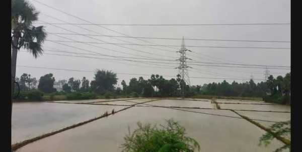 Rains