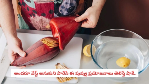 అరటి పువ్వుతో అద్భుతమైన ఆరోగ్యం.. దొరికితే వదిలిపెట్టకండి! అరటి పువ్వుతో అద్భుతమైన ఆరోగ్యం.. దొరికితే వదిలిపెట్టకండి!