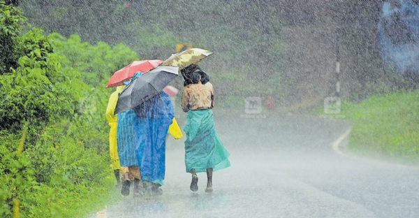 Rains in Wayanad