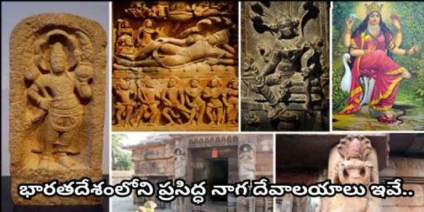 నాగ పంచమి వేళ తప్పక దర్శించాల్సిన 6 నాగ దేవాలయాలు.. ఒక్కో ఆలయానికి ఒక్కో ప్రత్యేకత!