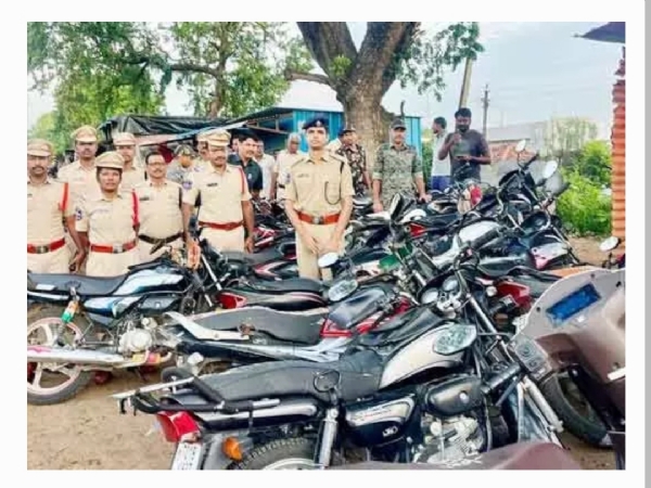 కార్డెన్ సెర్చ్