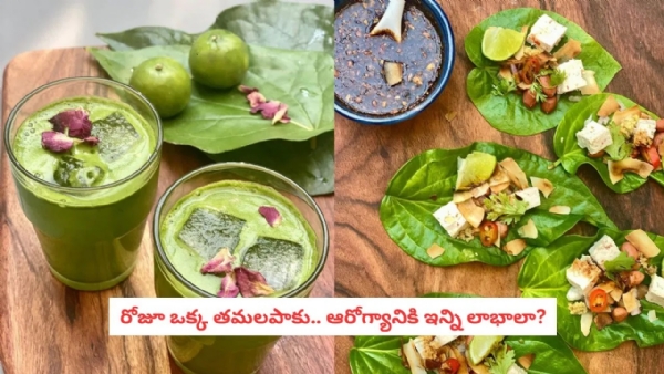 Betel Leaf Benefits Control Blood Sugar Details in Betel Leaf Benefits Control Blood Sugar Details in