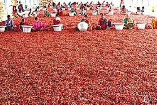 mirchi