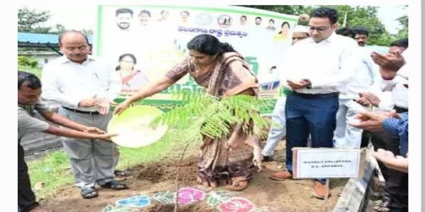 వన మహోత్సవం లక్ష్యాలు పూర్తి చేయాలి.. ఆసిఫాబాద్ జిల్లా కలెక్టర్