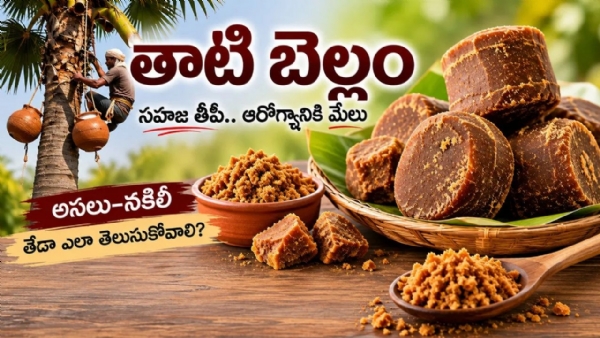 Real vs Fake Palm Jaggery: Easy Ways to Identify Authentic Palm J Real vs Fake Palm Jaggery: Easy Ways to Identify Authentic Palm J