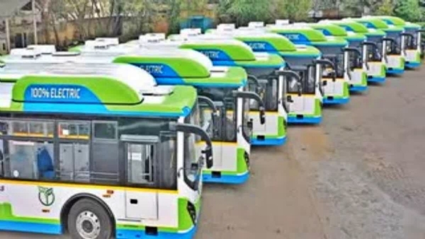 Bus Bus