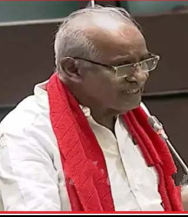 Mla Mla