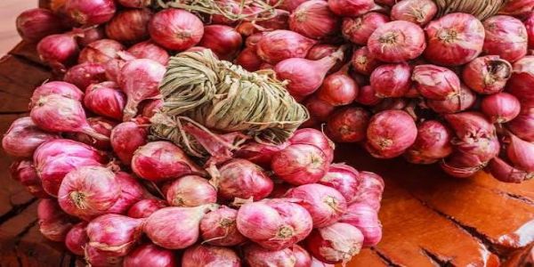 ఉల్లిపాయ ధరలకు బ్రేక్ వేసేందుకు ఏపీ ప్రభుత్వం చర్యలు