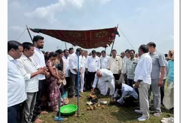 Mla