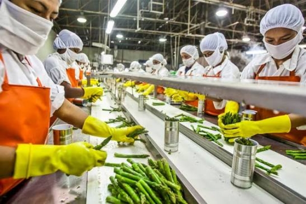 Food PROCESSING