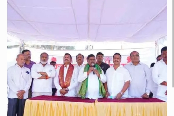 Mla