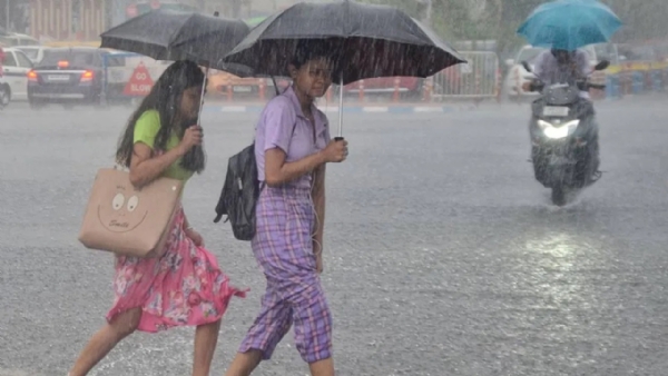 Rain Rain