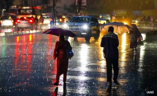 Rain