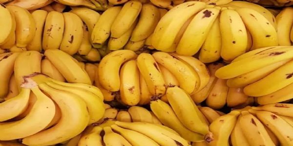 అరటి పండు వల్ల అనేక ఆరోగ్య ప్రయోజనాలు